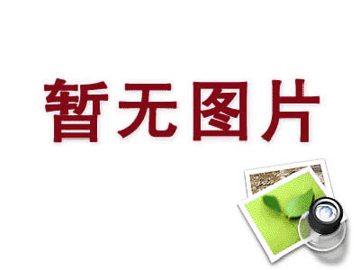 政治教师 吴欣宜